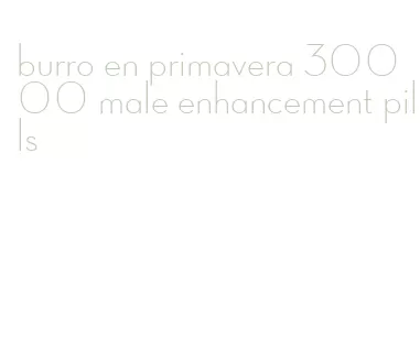 burro en primavera 30000 male enhancement pills