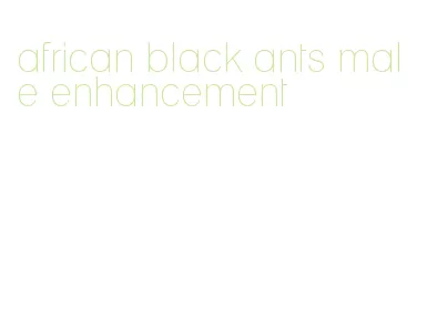 african black ants male enhancement