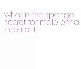 what is the sponge secret for male enhancement