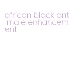 african black ant male enhancement