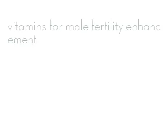 vitamins for male fertility enhancement