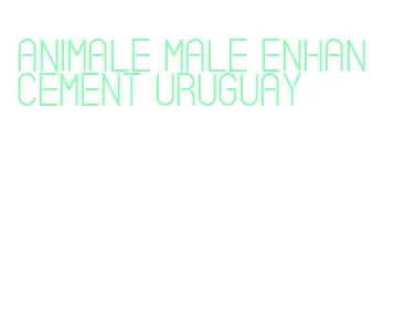 animale male enhancement uruguay