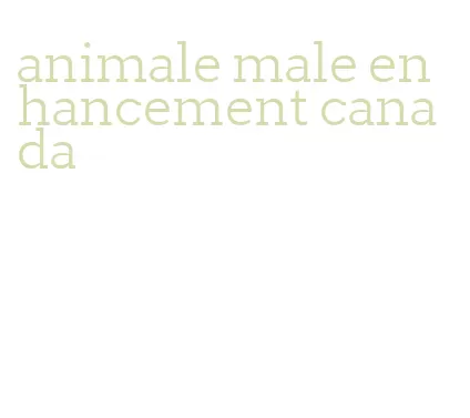 animale male enhancement canada