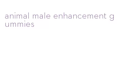 animal male enhancement gummies