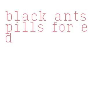 black ants pills for ed