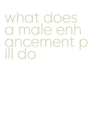 what does a male enhancement pill do