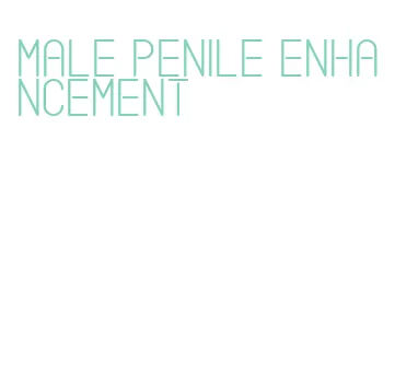 male penile enhancement