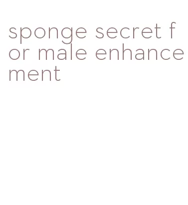 sponge secret for male enhancement