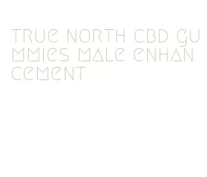 true north cbd gummies male enhancement