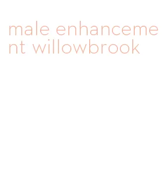 male enhancement willowbrook