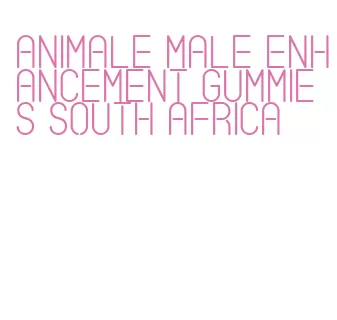 animale male enhancement gummies south africa