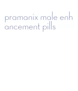 pramanix male enhancement pills