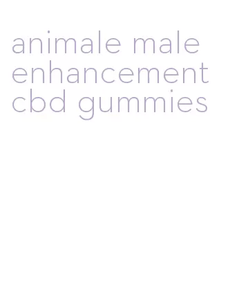 animale male enhancement cbd gummies