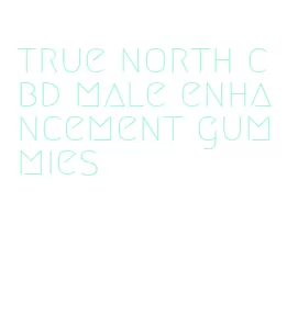 true north cbd male enhancement gummies