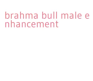 brahma bull male enhancement