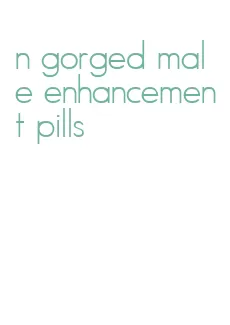 n gorged male enhancement pills