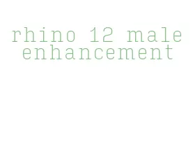 rhino 12 male enhancement