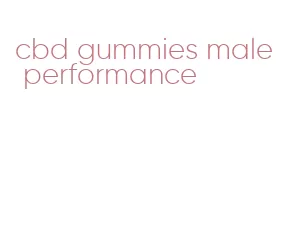 cbd gummies male performance