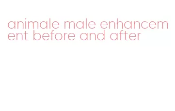 animale male enhancement before and after