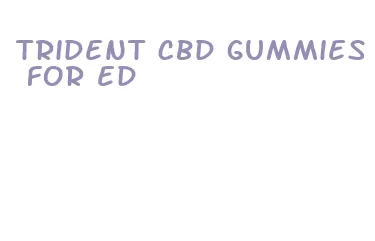 trident cbd gummies for ed