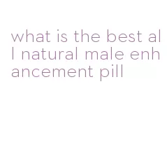 what is the best all natural male enhancement pill