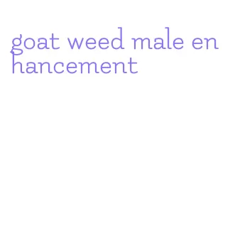 goat weed male enhancement