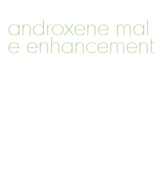 androxene male enhancement