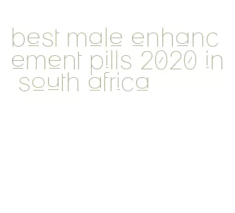 best male enhancement pills 2020 in south africa