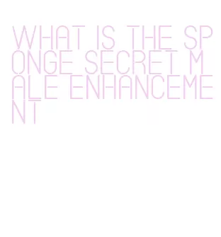 what is the sponge secret male enhancement