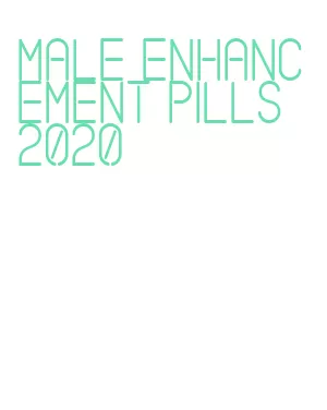 male enhancement pills 2020