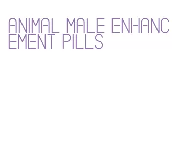 animal male enhancement pills