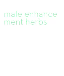 male enhancement herbs