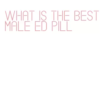 what is the best male ed pill