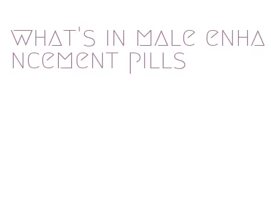 what's in male enhancement pills