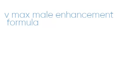 v max male enhancement formula