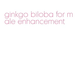 ginkgo biloba for male enhancement