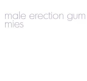 male erection gummies