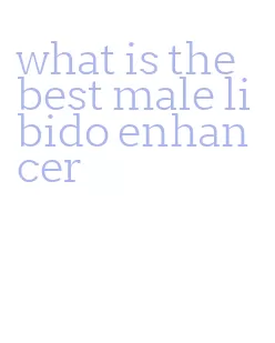 what is the best male libido enhancer