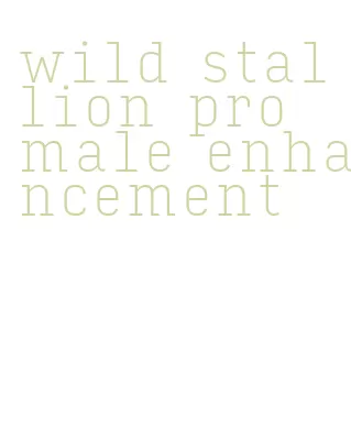 wild stallion pro male enhancement