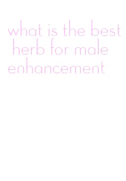 what is the best herb for male enhancement