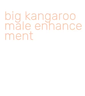 big kangaroo male enhancement