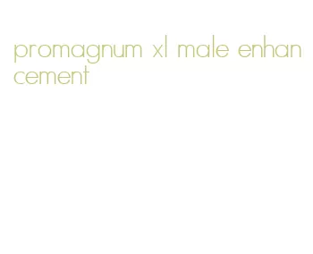 promagnum xl male enhancement