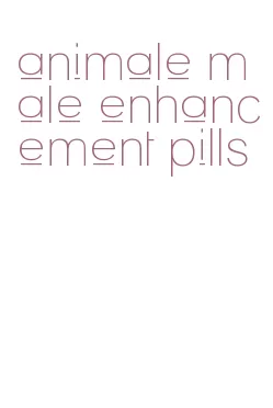 animale male enhancement pills