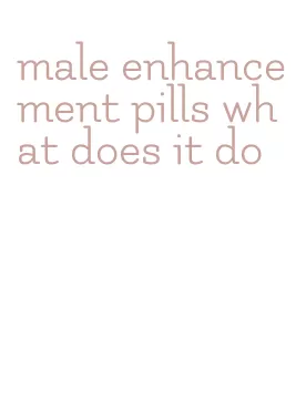 male enhancement pills what does it do