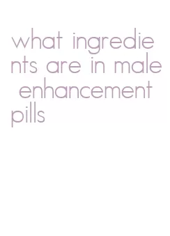 what ingredients are in male enhancement pills