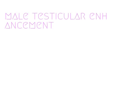 male testicular enhancement